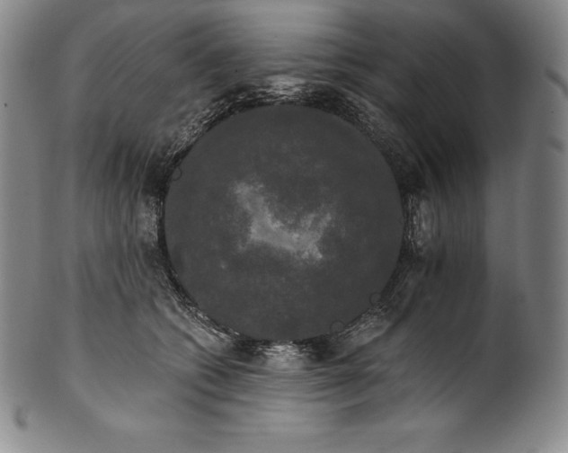 X0000102240562200808081439