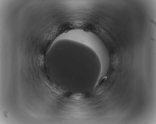 X0000102240563200808081439