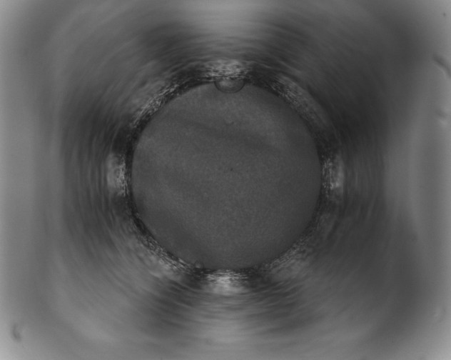 X0000102240564200808081439