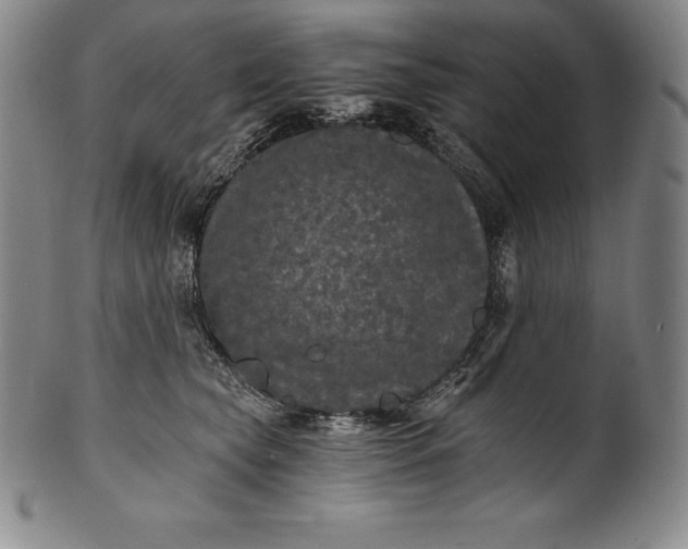 X0000102240565200808081439