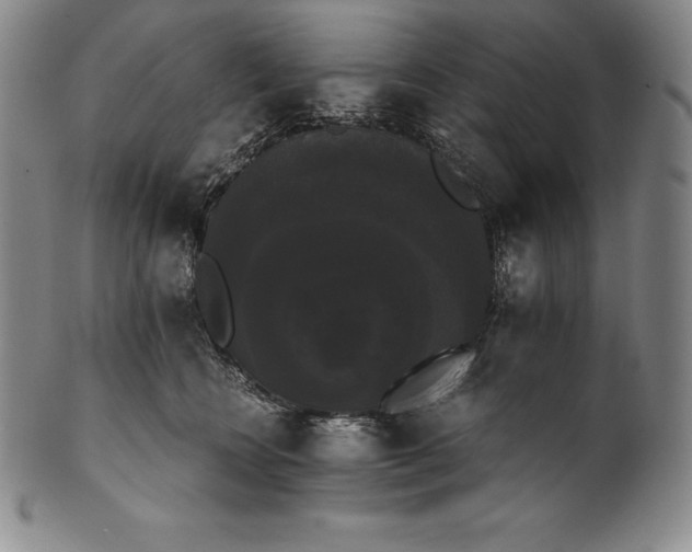 X0000102240566200808081439