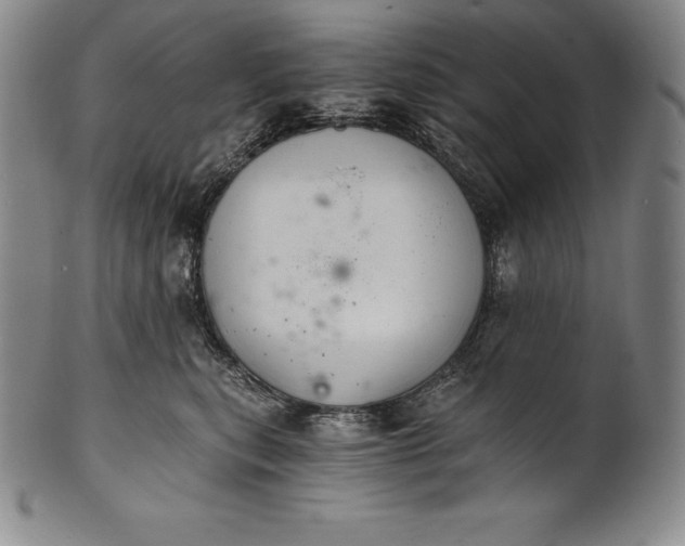 X0000102240567200808081439