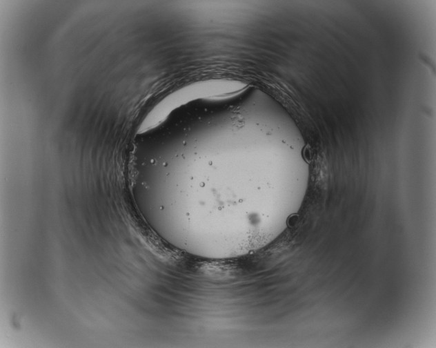 X0000102240568200808081439