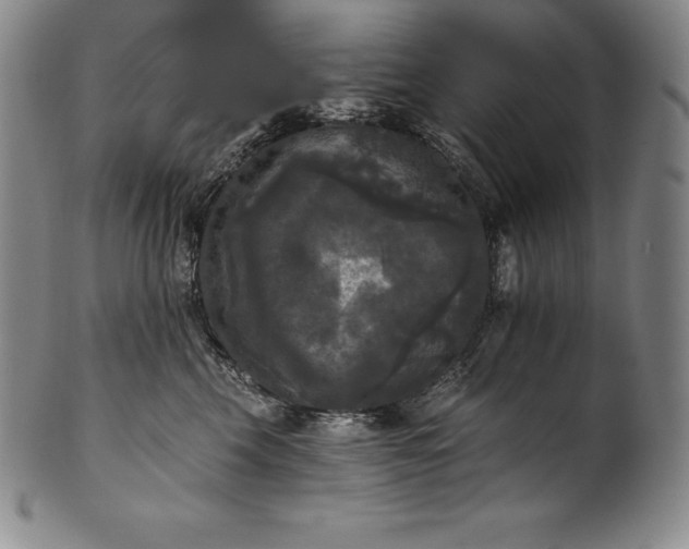 X0000102240569200808081439