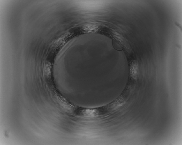 X0000102240570200808081439