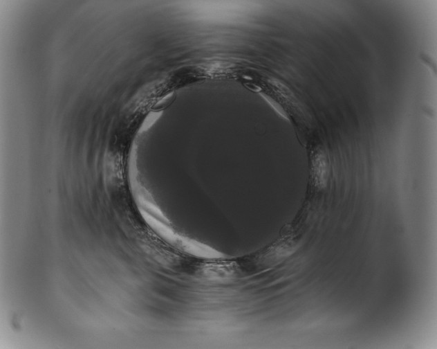 X0000102240571200808081439