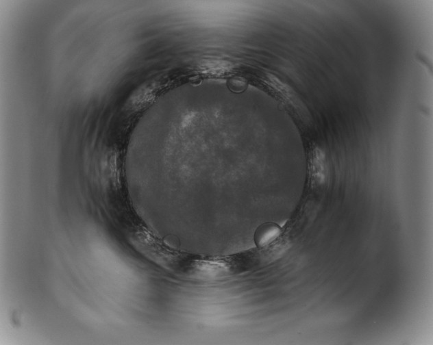 X0000102240572200808081439