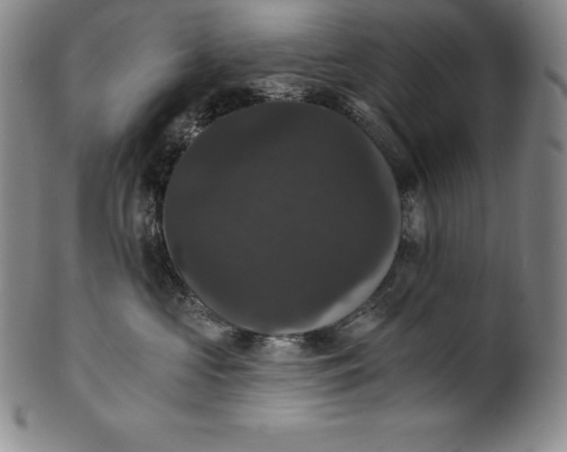 X0000102240573200808081439