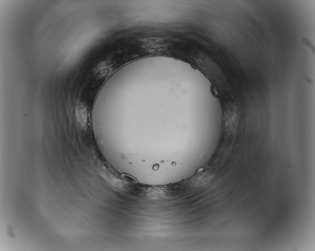 X0000102240574200808081439