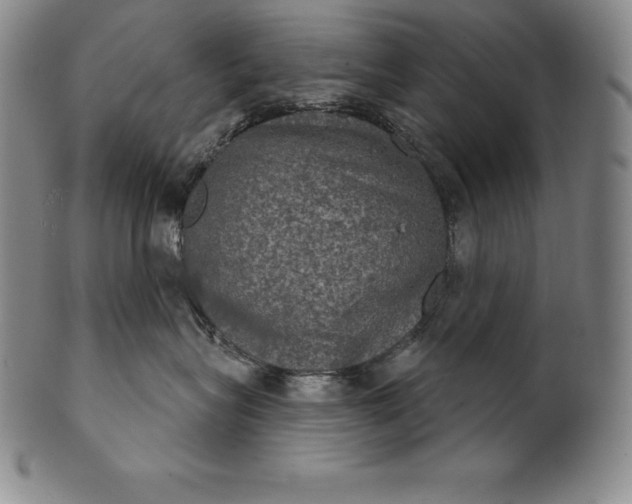 X0000102240575200808081439