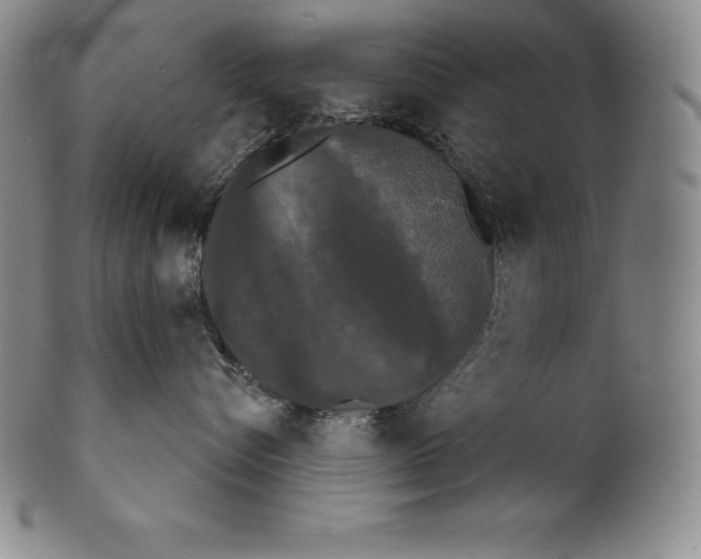 X0000102240576200808081439