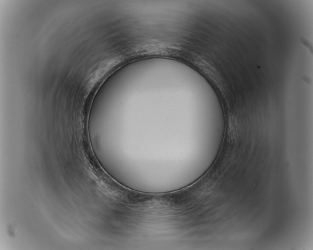 X0000102240578200808081438