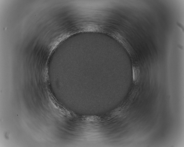 X0000102240579200808081438