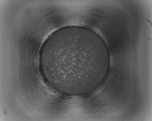 X0000102240580200808081438