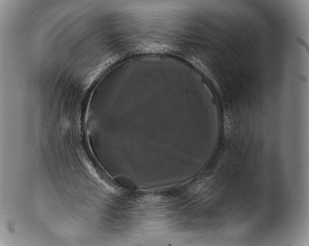 X0000102240581200808081438