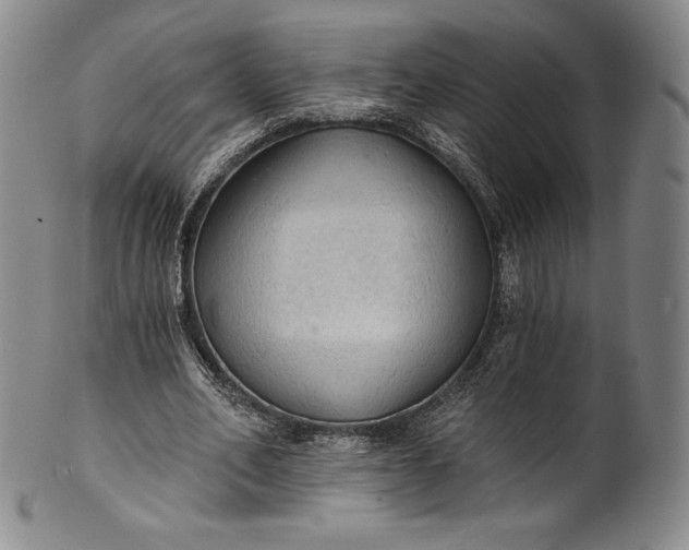 X0000102240582200808081438