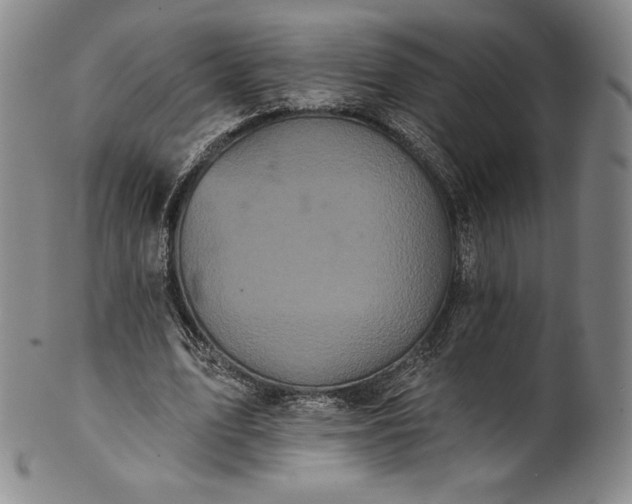 X0000102240583200808081438