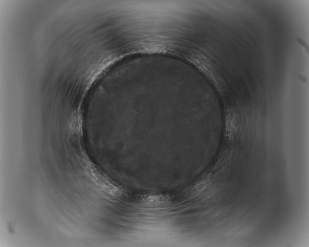 X0000102240584200808081438