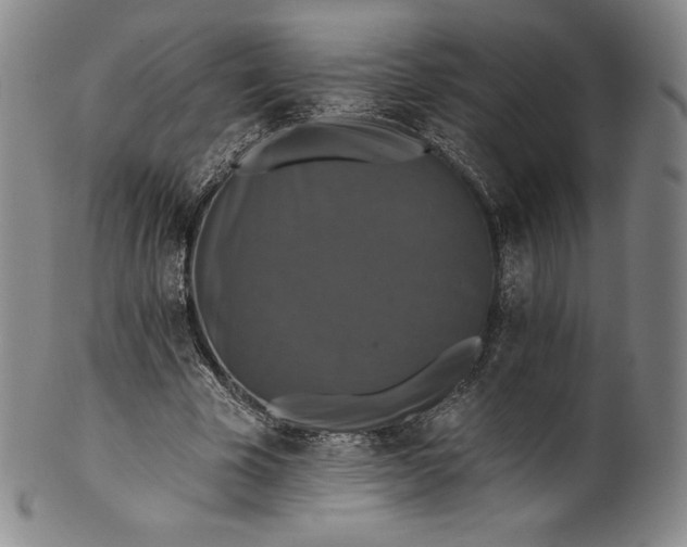 X0000102240585200808081438