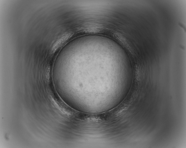 X0000102240586200808081438