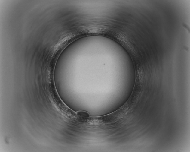 X0000102240587200808081438