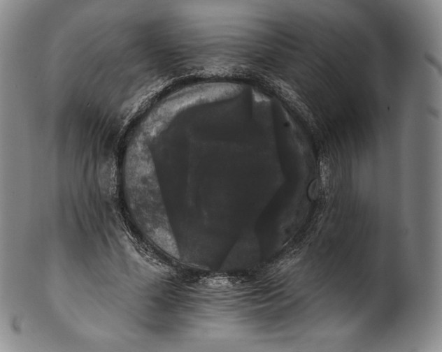 X0000102240588200808081438