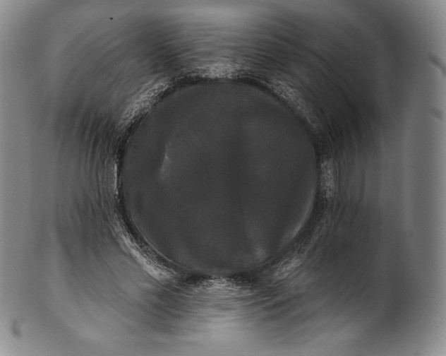 X0000102240589200808081438