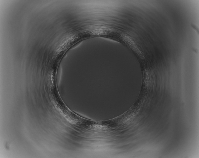 X0000102240590200808081438