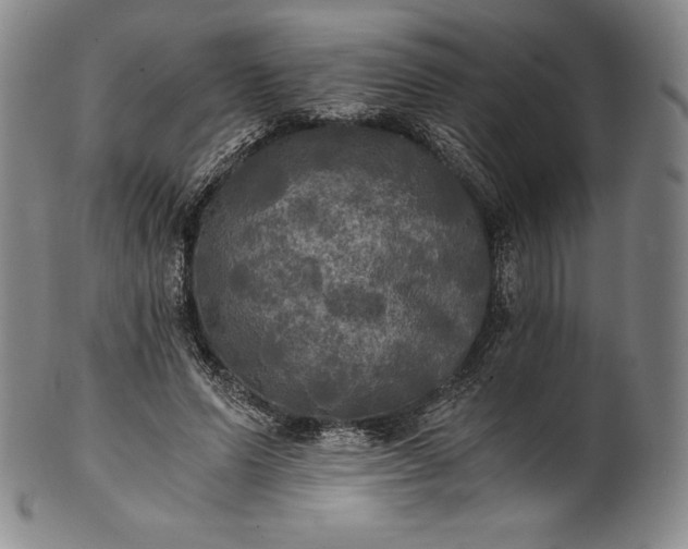 X0000102240591200808081438