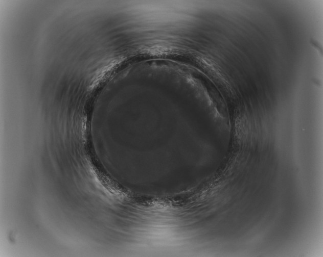 X0000102240592200808081438