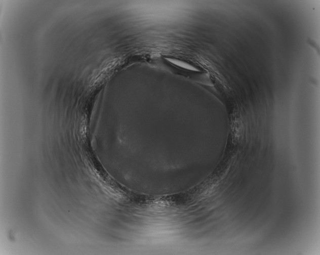 X0000102240593200808081438