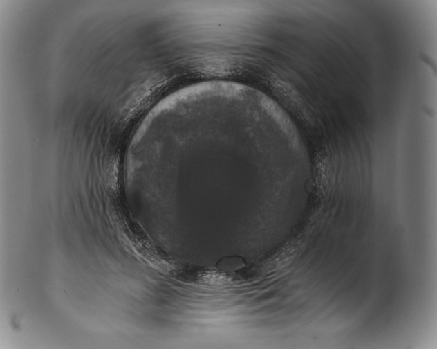 X0000102240596200808081438