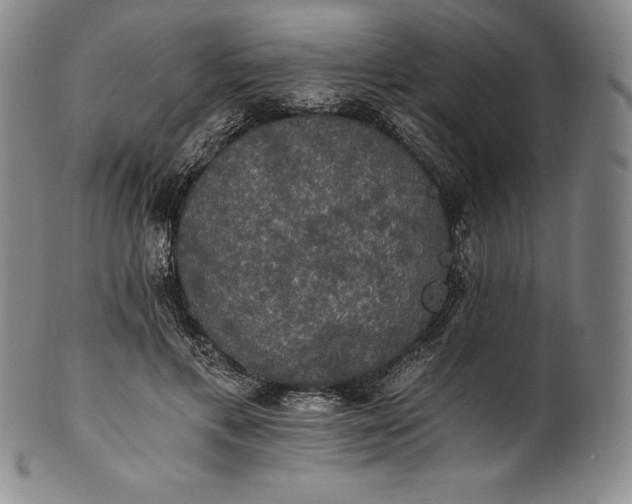 X0000102240597200808081438