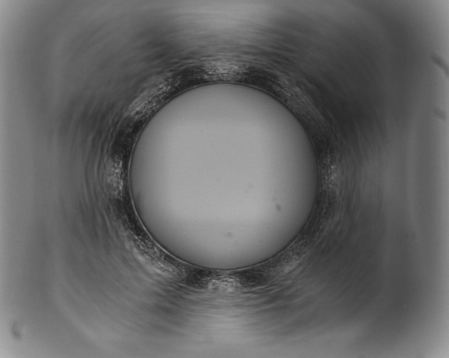 X0000102240599200808081438