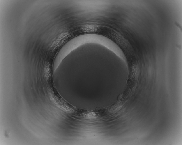 X0000102240600200808081438