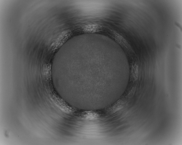 X0000102240601200808081438