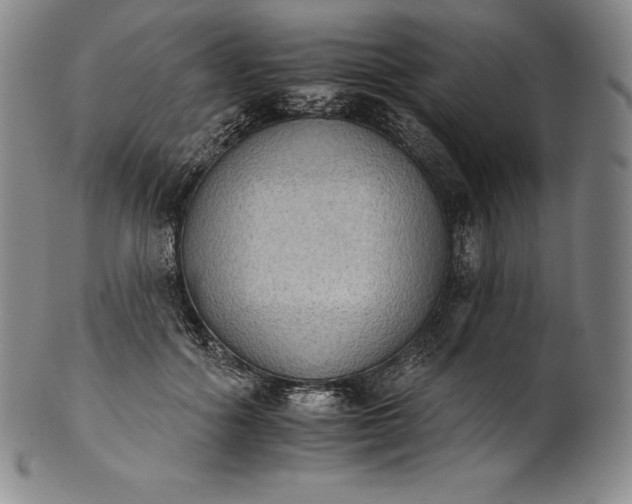 X0000102240602200808081438