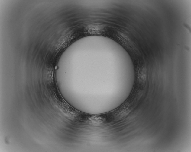 X0000102240603200808081438