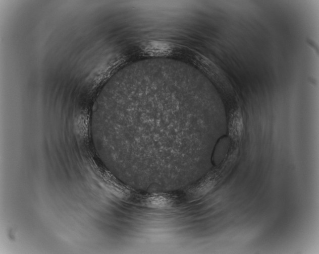 X0000102240604200808081438