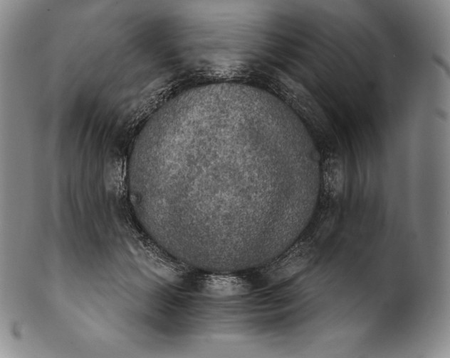 X0000102240605200808081438