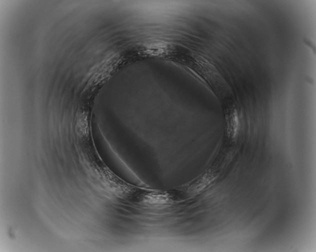 X0000102240606200808081438