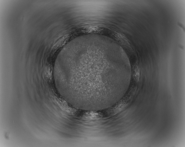 X0000102240607200808081438