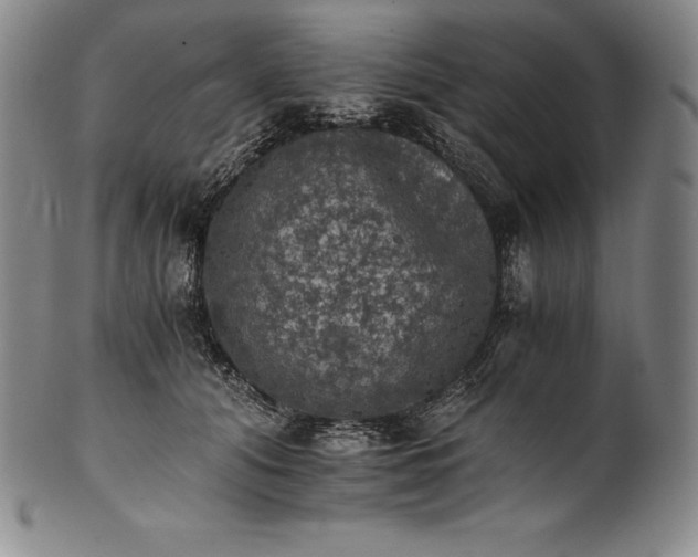 X0000102240608200808081438