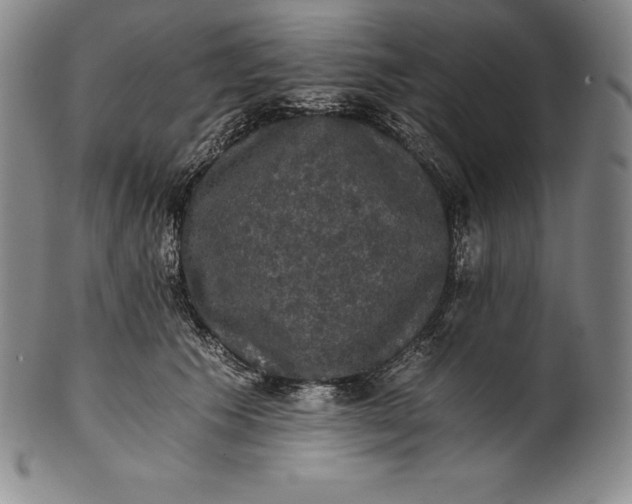 X0000102240609200808081438