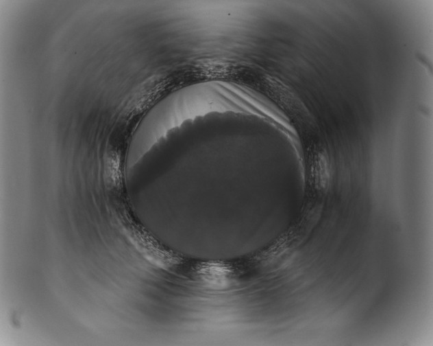 X0000102240610200808081438