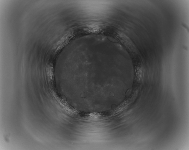 X0000102240612200808081438