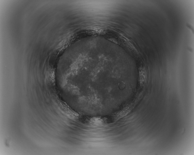 X0000102240613200808081438