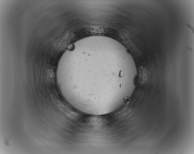 X0000102240614200808081438