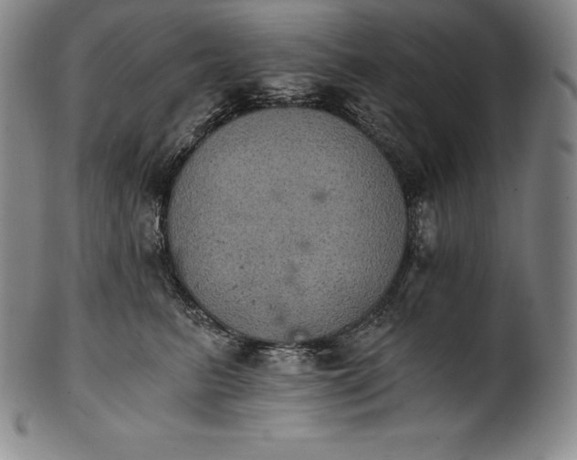 X0000102240615200808081438