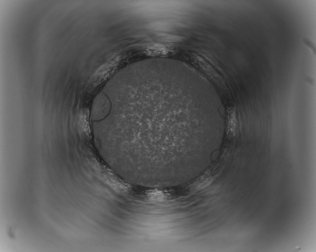 X0000102240616200808081438